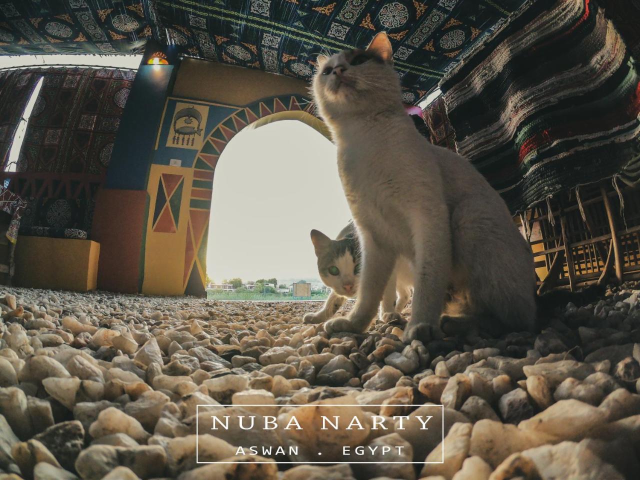 Nuba Narty Hotel Assuan Exterior foto